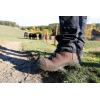 imageHAIX Airpower XR26 Safety Boots for Men  Composite Toe Waterproof Boots with GORETEX Durable LeatherWide